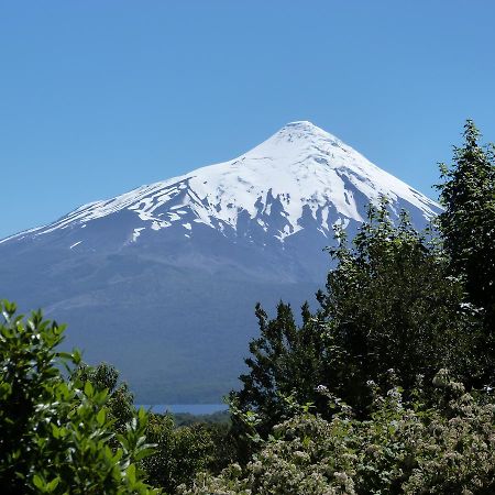 Quila Hostal La Ensenada Dış mekan fotoğraf